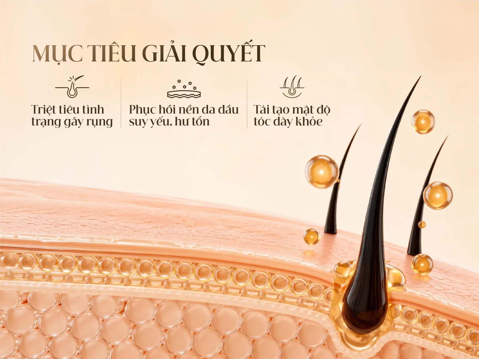 Phục Hồi Mật Độ Tóc